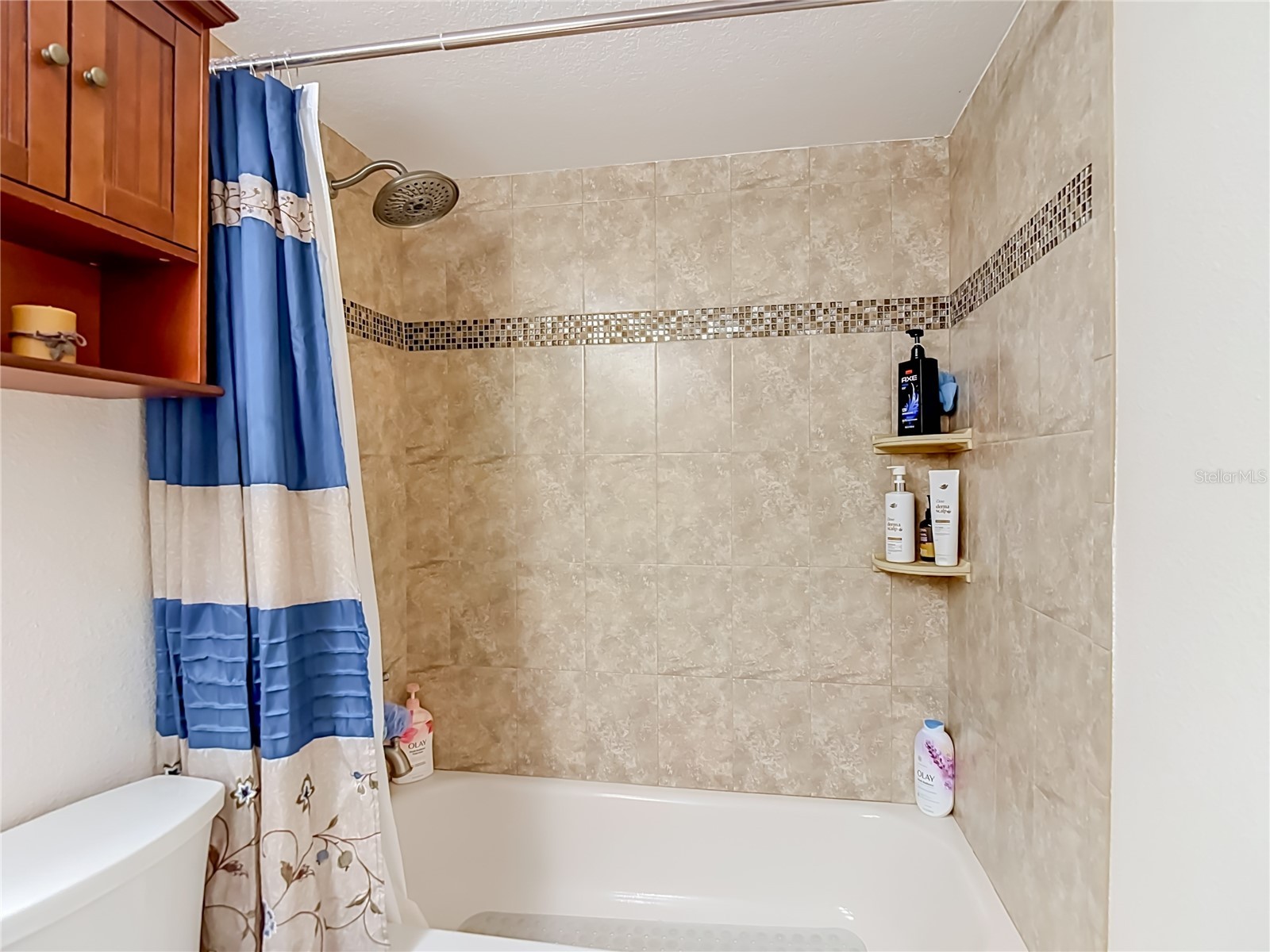 3008 Ripplewood Drive Seffner FL 33584 TB8529838 image24