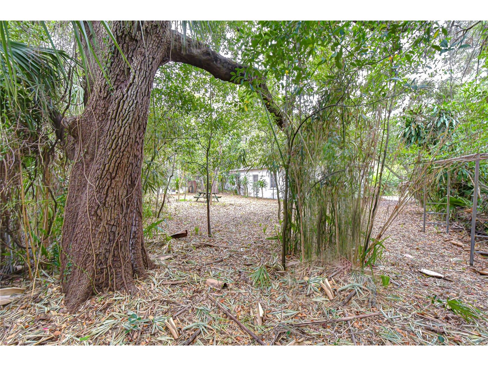 3008 S Emerson Street Tampa FL 33629 TB8463760 image14