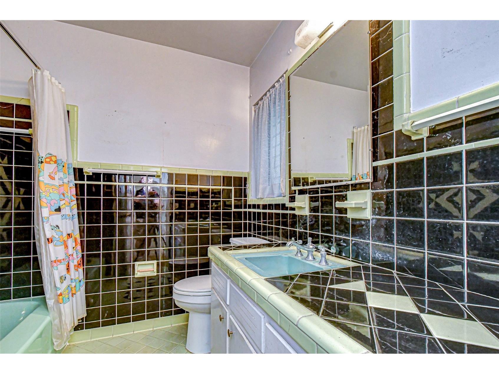 3008 S Emerson Street Tampa FL 33629 TB8463760 image35