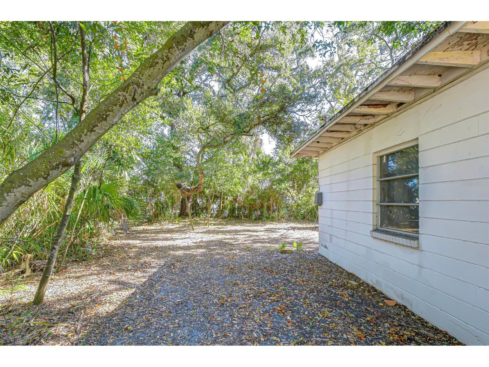 3008 S Emerson Street Tampa FL 33629 TB8463760 image7