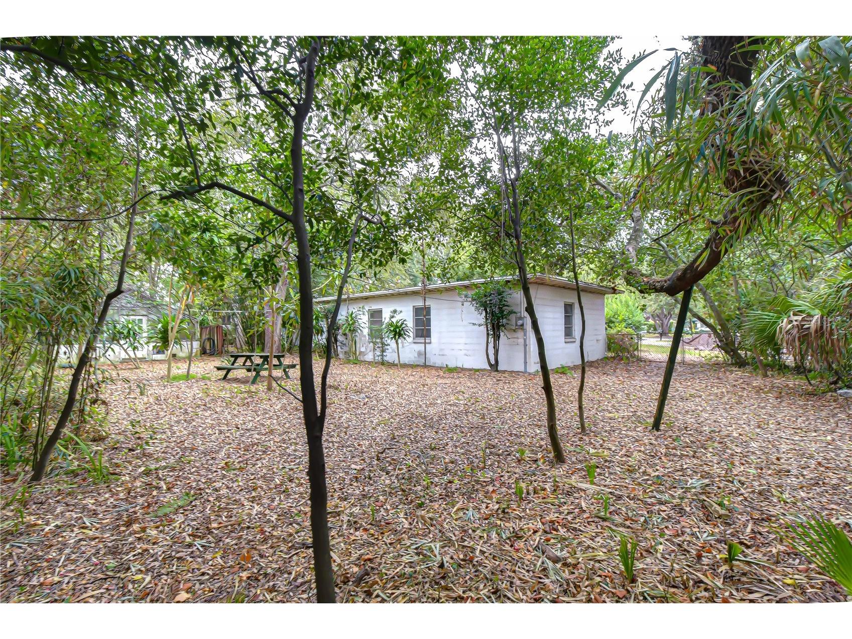 3008 S Emerson Street Tampa FL 33629 TB8464393 image14