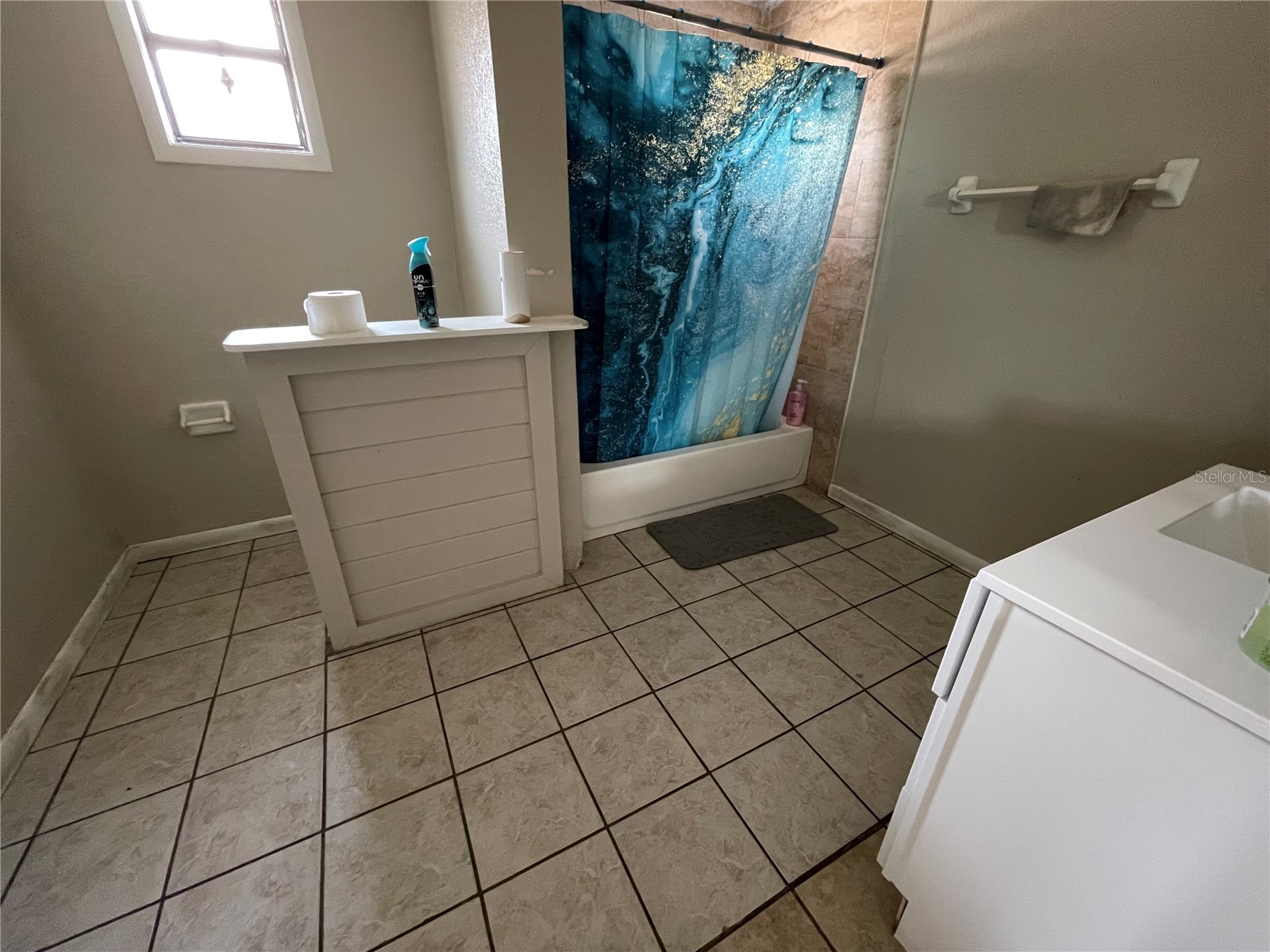 3008 Skyview Drive Lakeland FL 33801 - SKYVIEW LAKE L4961810 image11