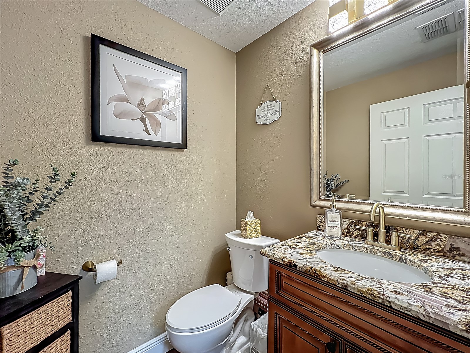 3008 Sutton Woods Drive Plant City FL 33566 O6305297 image24