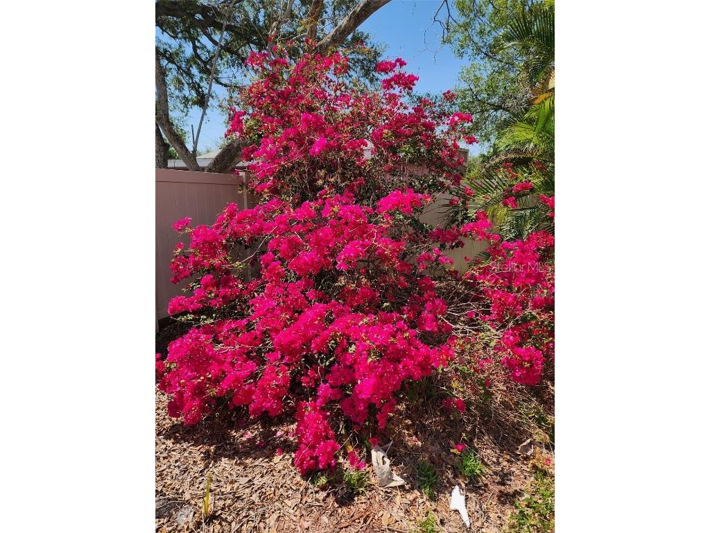 3008 W Napoleon Avenue Tampa FL 33611 TB8331149 image3