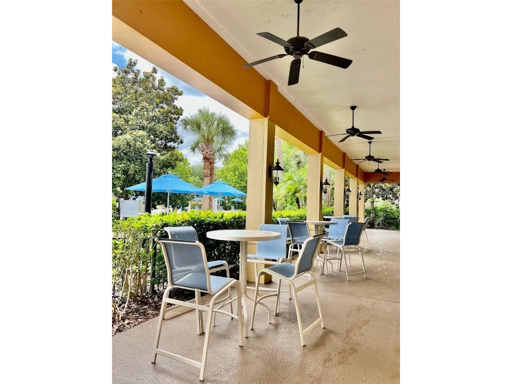 3008 White Orchid Road Kissimmee FL 34747 O6347407 image21