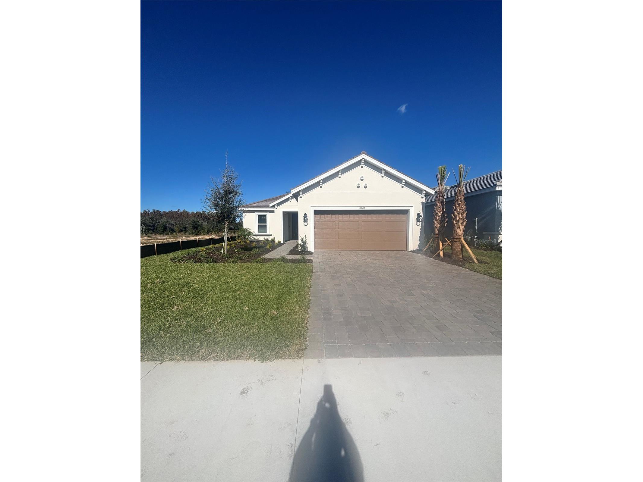 30087 Imperati Boulevard Wesley Chapel FL 33543 TB8461655 image1