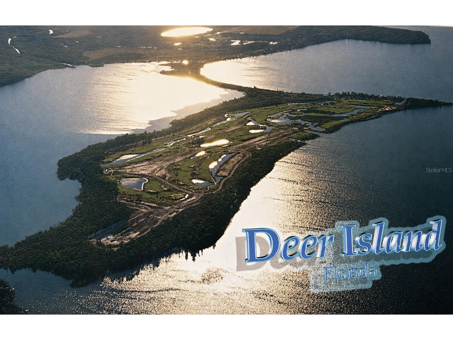 30089 Island Club Drive Deer Island FL 32778 - LAKE DORA G5114396 image67