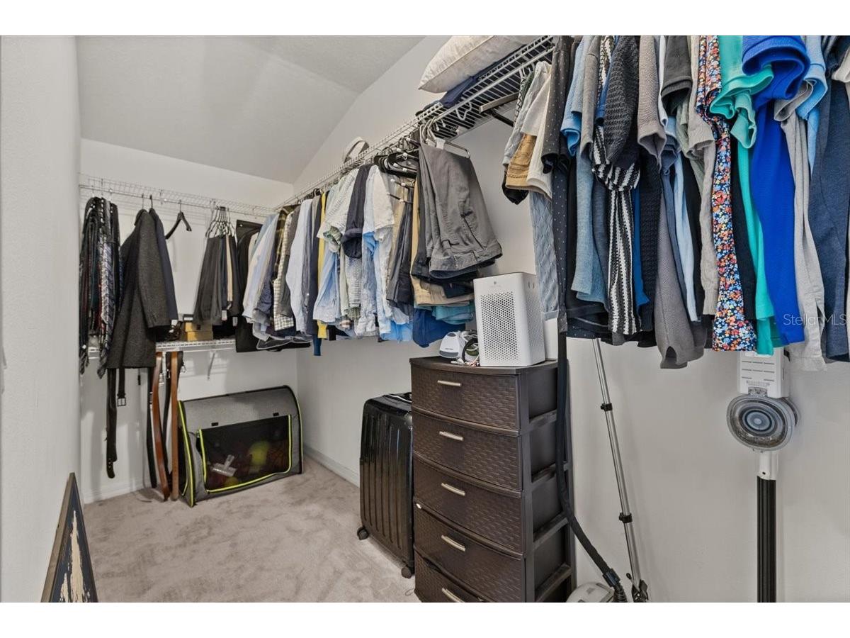 30089 Southwell Lane Wesley Chapel FL 33543 TB8484337 image19