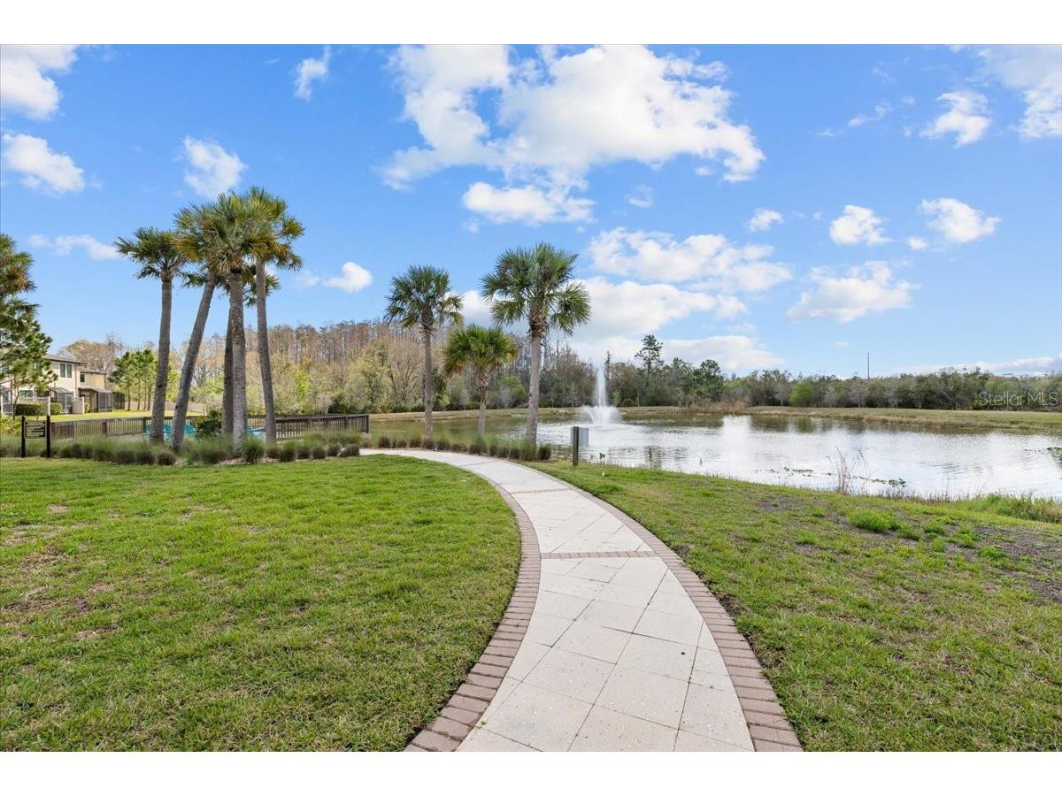 30089 Southwell Lane Wesley Chapel FL 33543 TB8484337 image35