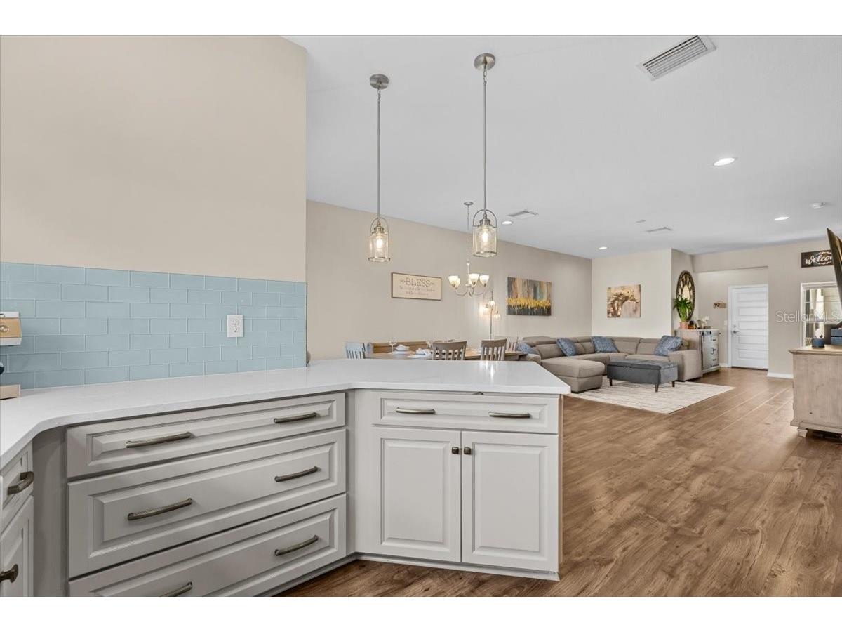 30089 Southwell Lane Wesley Chapel FL 33543 TB8484337 image9