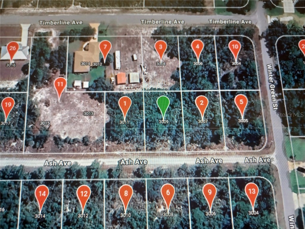 3009 Ash Avenue Lake Placid FL 33852 O6245949 image1