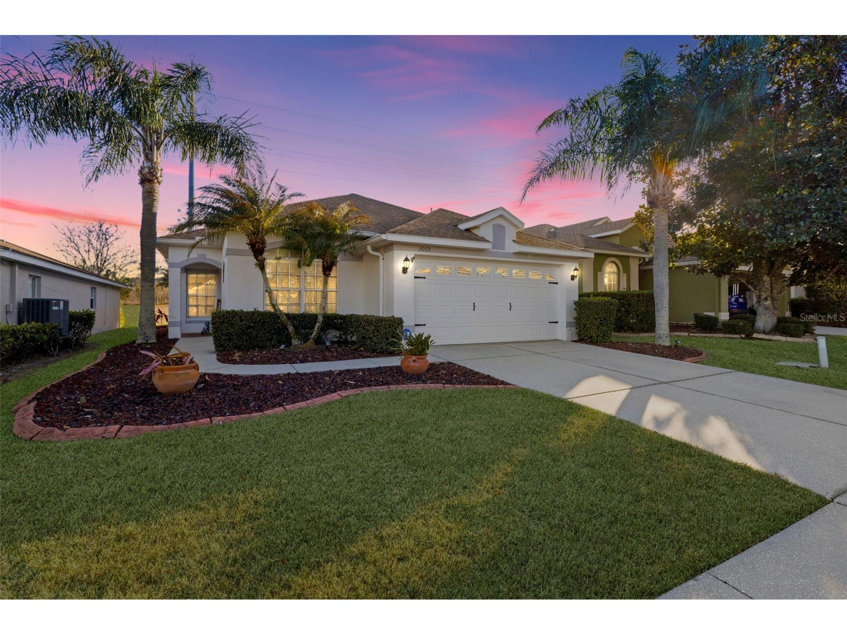 3009 Banyan Hill Lane Land O Lakes FL 34639 TB8475673 image1