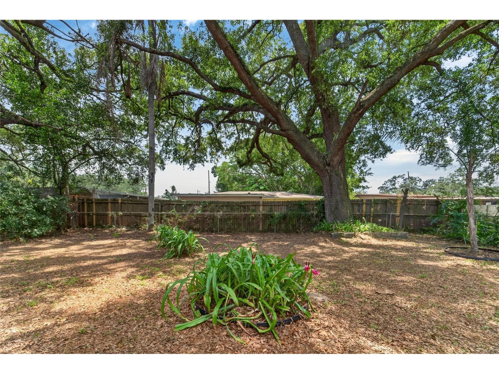 3009 E Fern Street Tampa FL 33610 TB8513200 image38