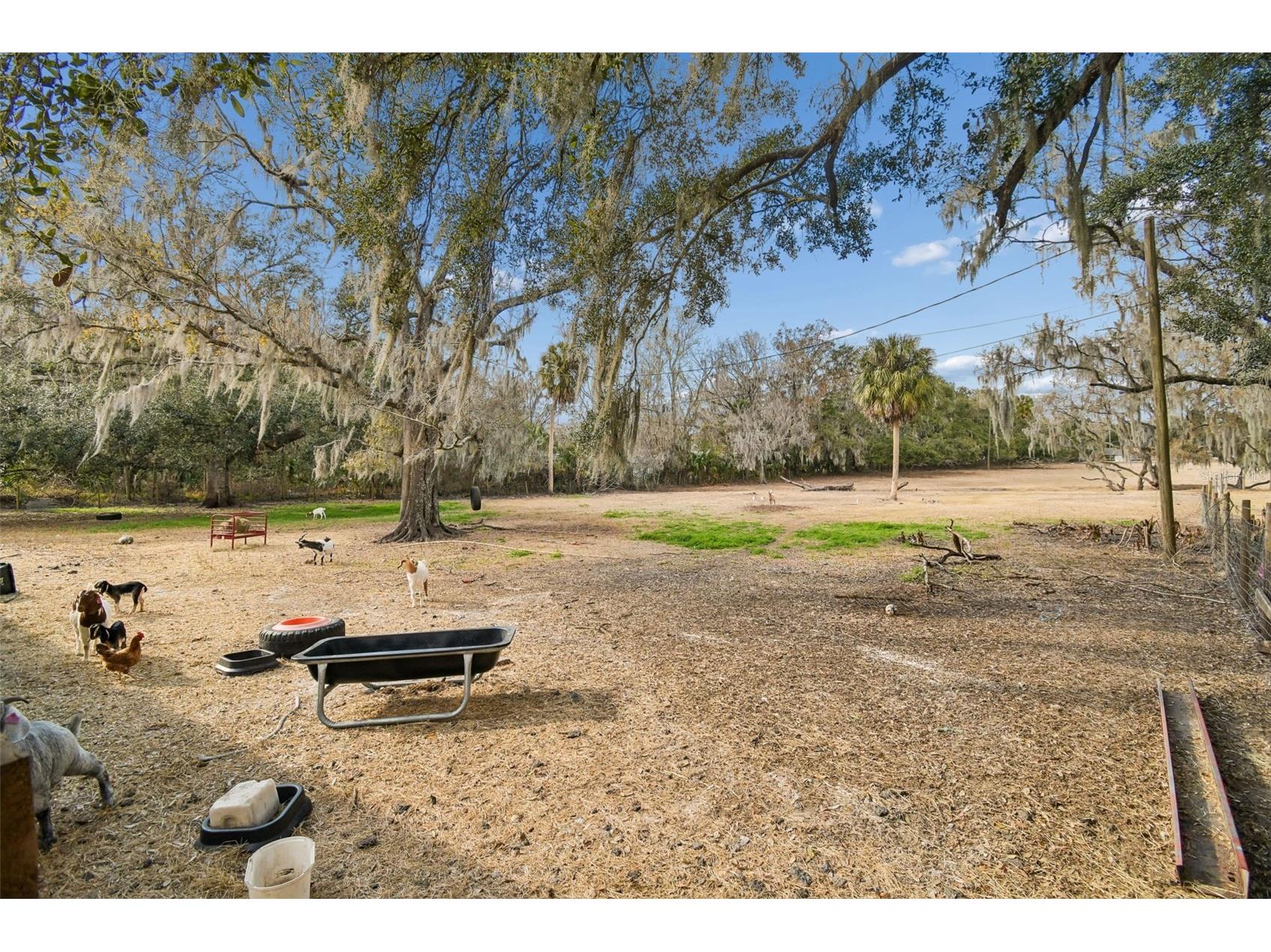 3009 Jim Johnson Road Plant City FL 33566 TB8476726 image58