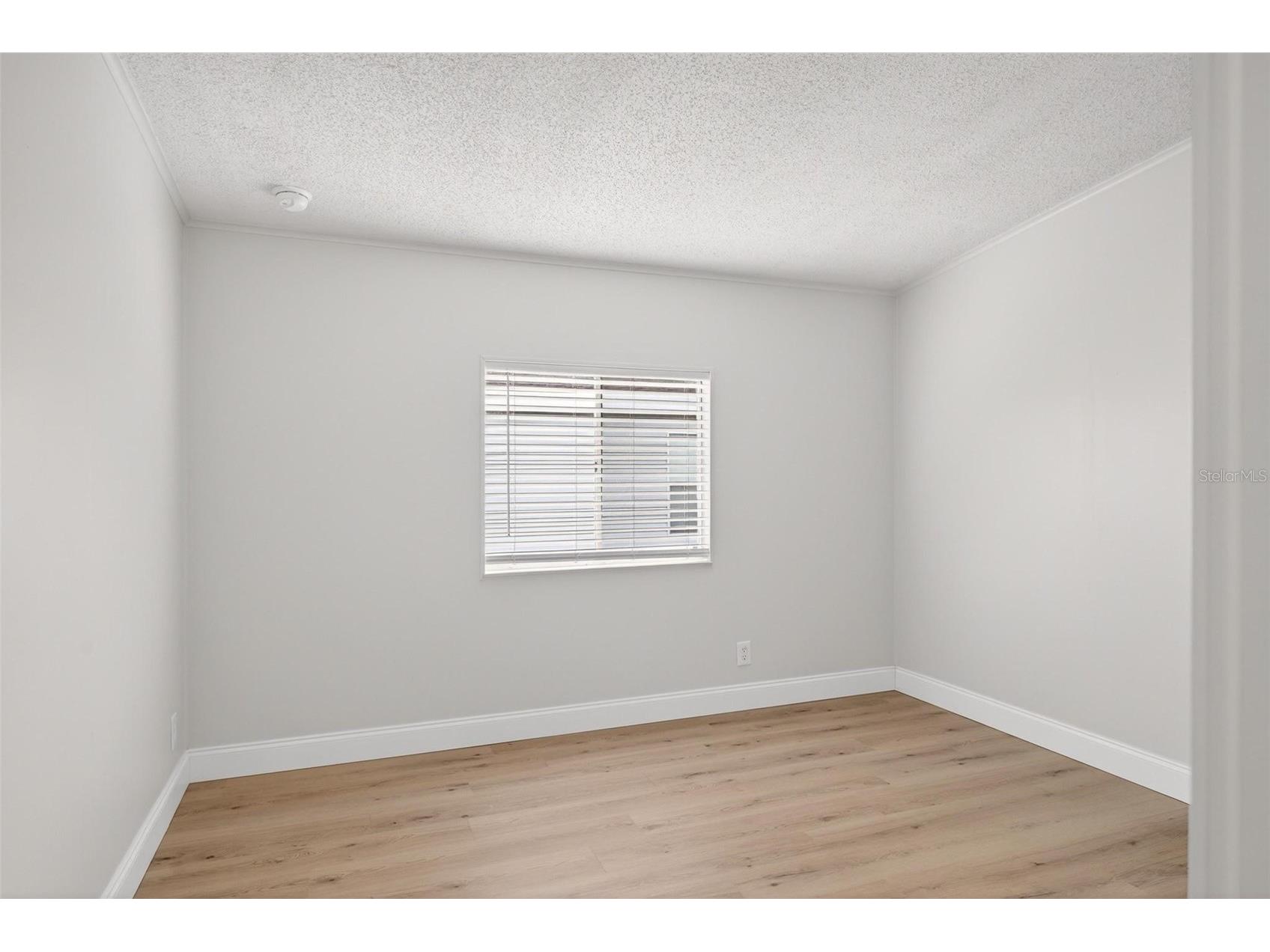 3009 Manatee Road Tavares FL 32778 O6387074 image24