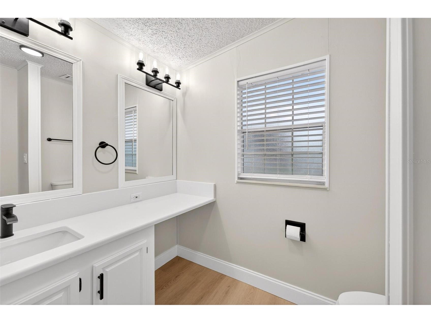 3009 Manatee Road Tavares FL 32778 O6387074 image29