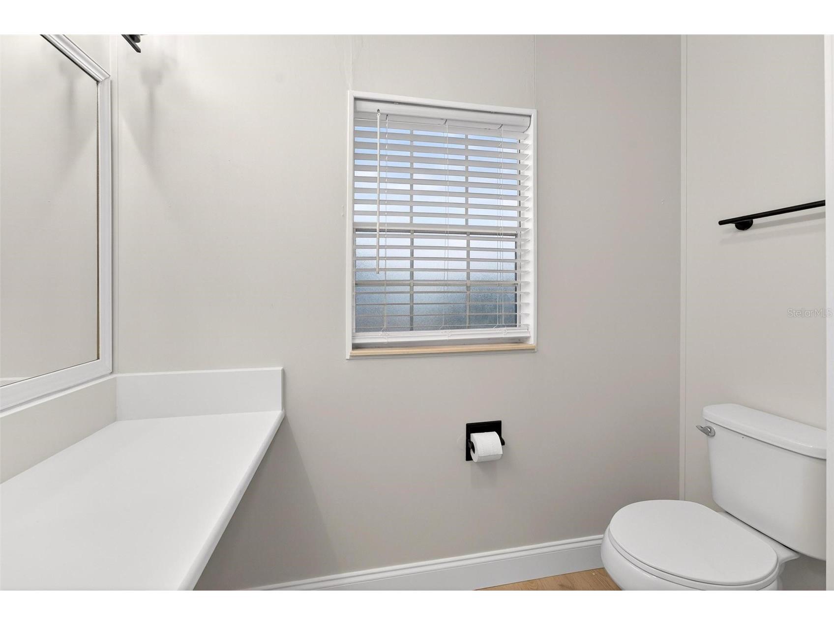 3009 Manatee Road Tavares FL 32778 O6387074 image30
