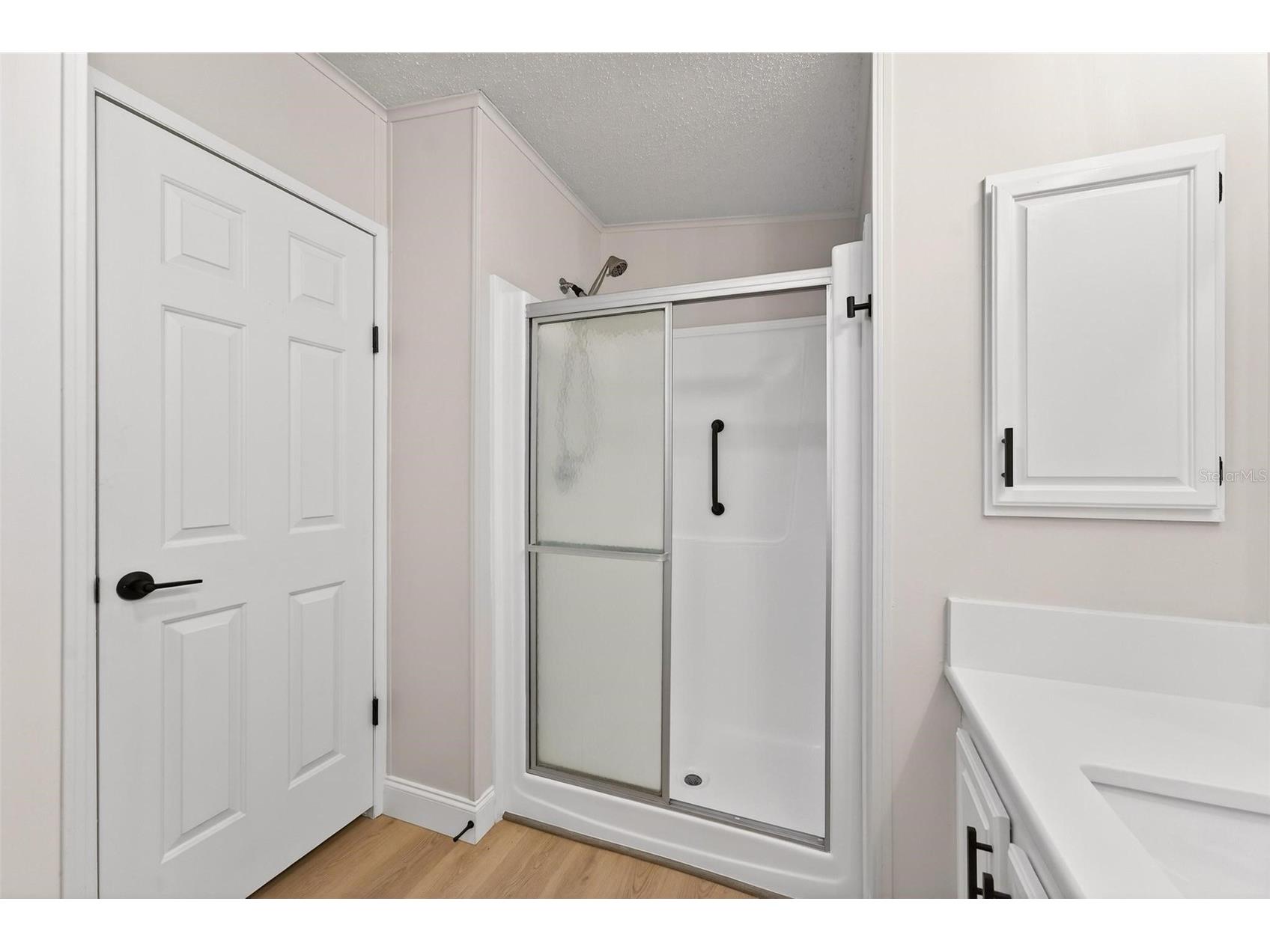 3009 Manatee Road Tavares FL 32778 O6387074 image31