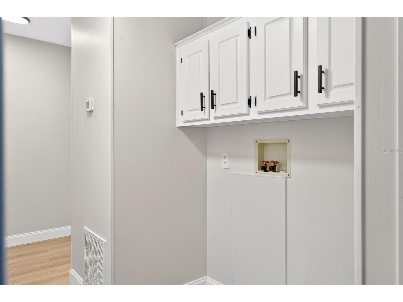 3009 Manatee Road Tavares FL 32778 O6387074 image37
