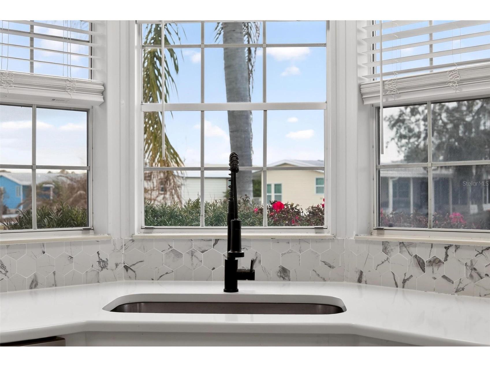 3009 Manatee Road Tavares FL 32778 O6387074 image42