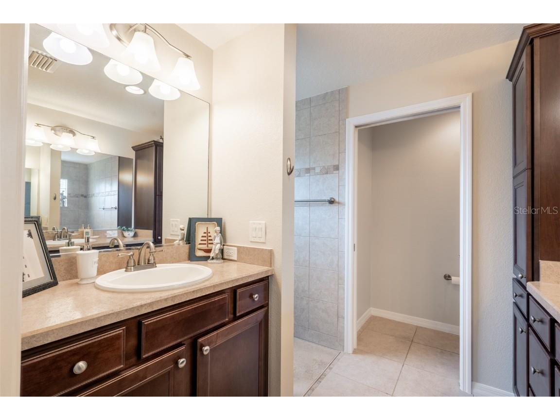 3009 Olenda Drive The Villages FL 32163 G5102421 image21