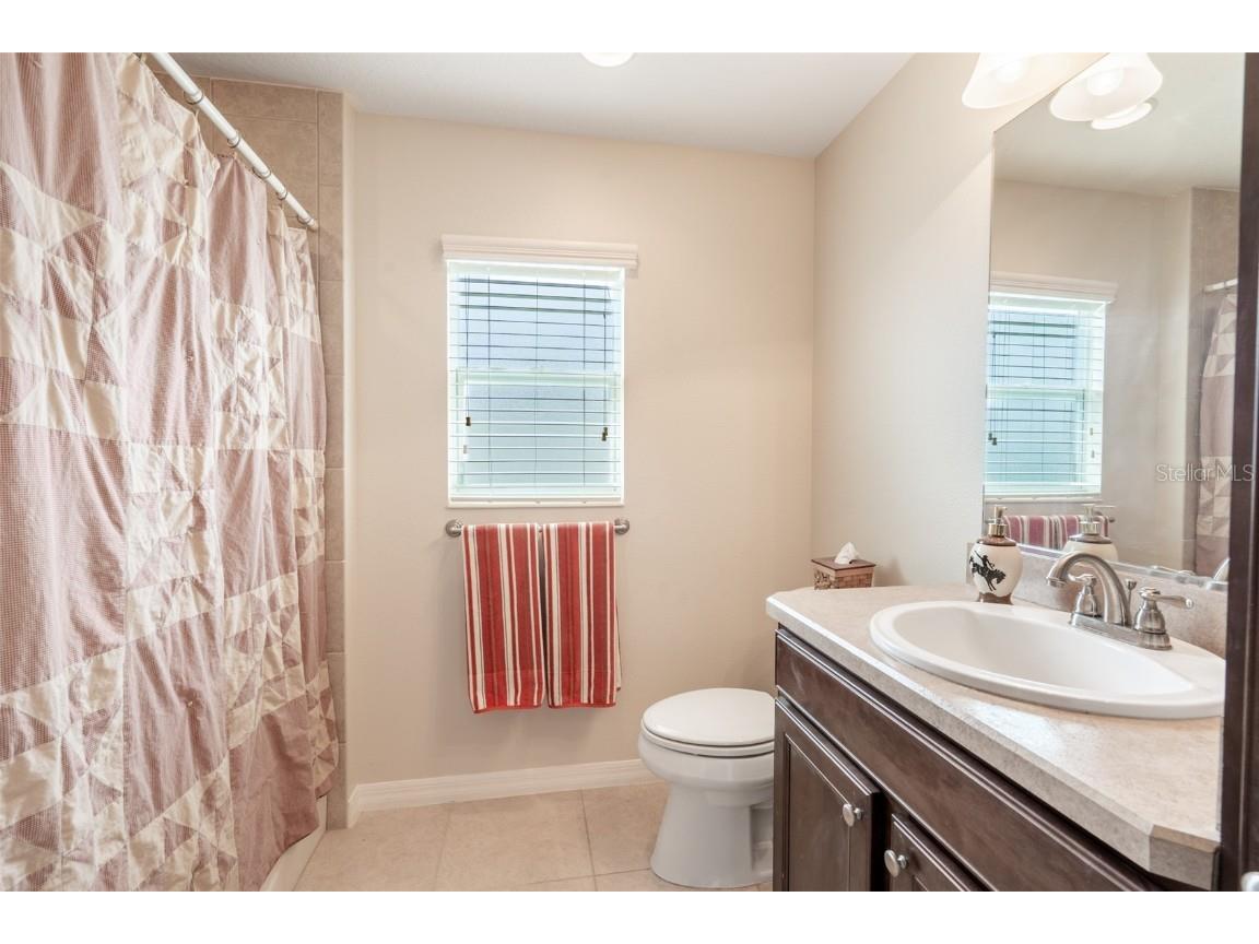 3009 Olenda Drive The Villages FL 32163 G5102421 image25