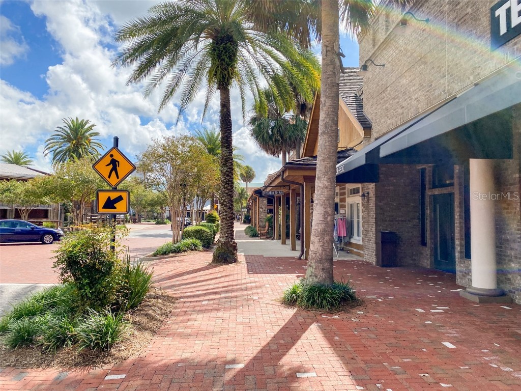 3009 Olenda Drive The Villages FL 32163 G5102421 image48