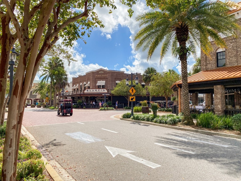 3009 Olenda Drive The Villages FL 32163 G5102421 image49