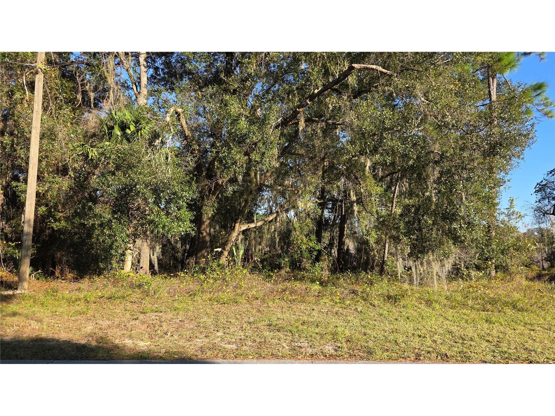 3009 Parma Drive Deltona FL 32738 O6367305 image1