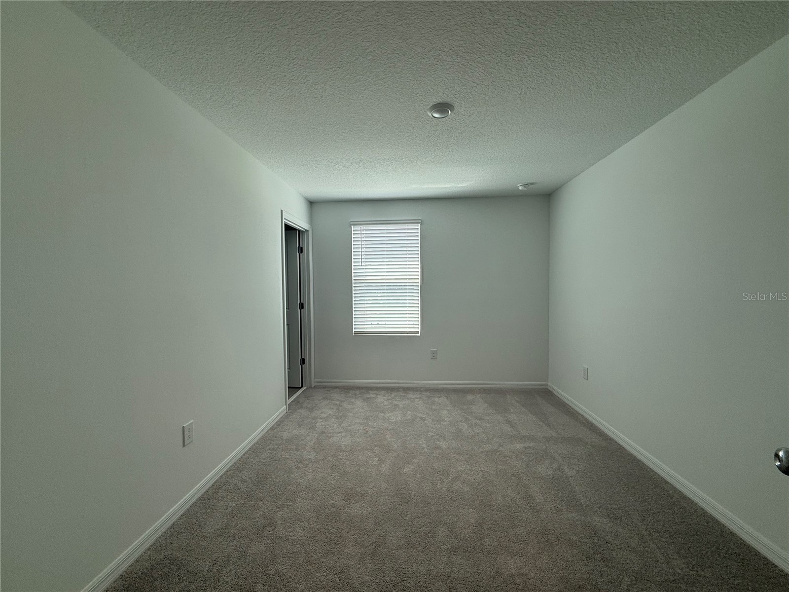 3009 Skyline Loop Kissimmee FL 34758 O6390292 image21