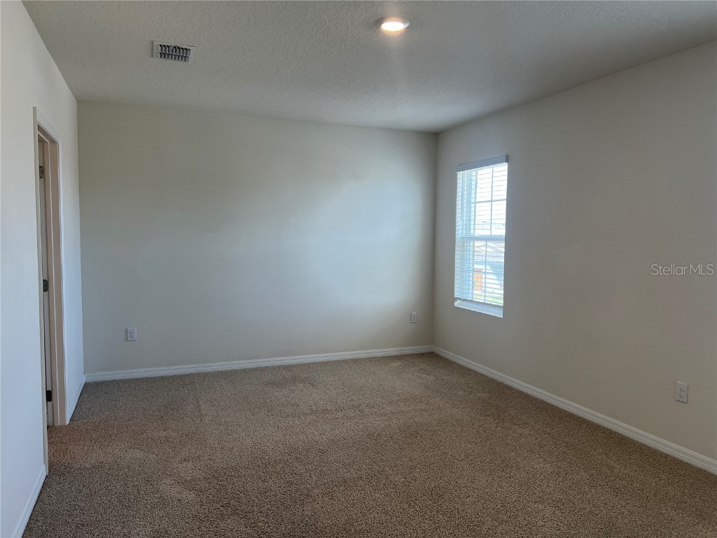 3009 Tansy Street Tavares FL 32778 O6293771 image11