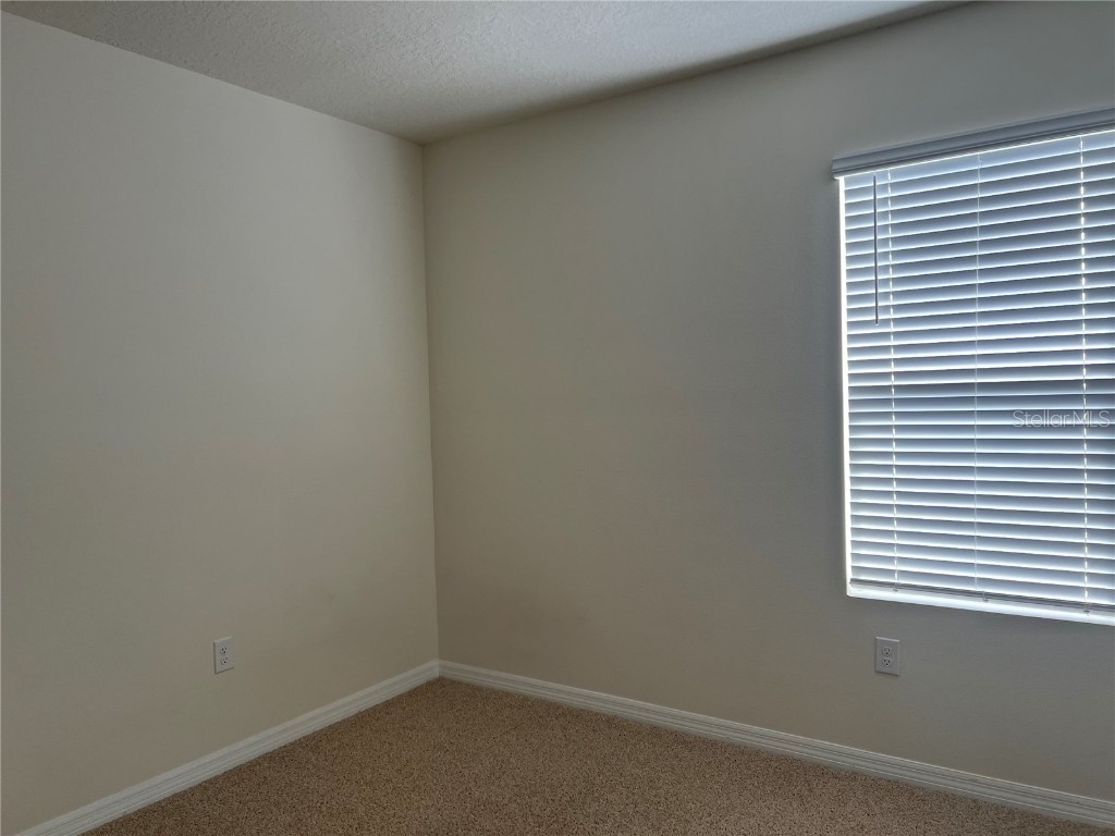 3009 Tansy Street Tavares FL 32778 O6293771 image14