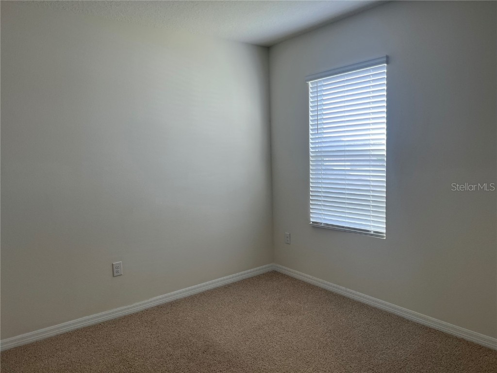 3009 Tansy Street Tavares FL 32778 O6293771 image15