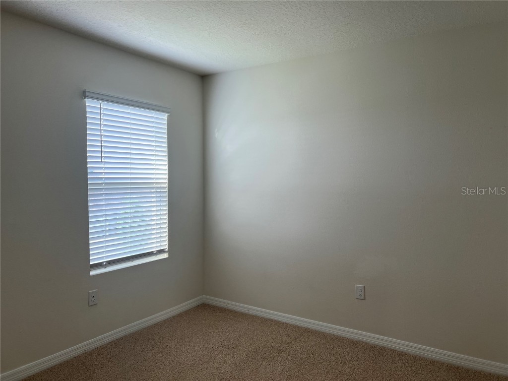 3009 Tansy Street Tavares FL 32778 O6293771 image17