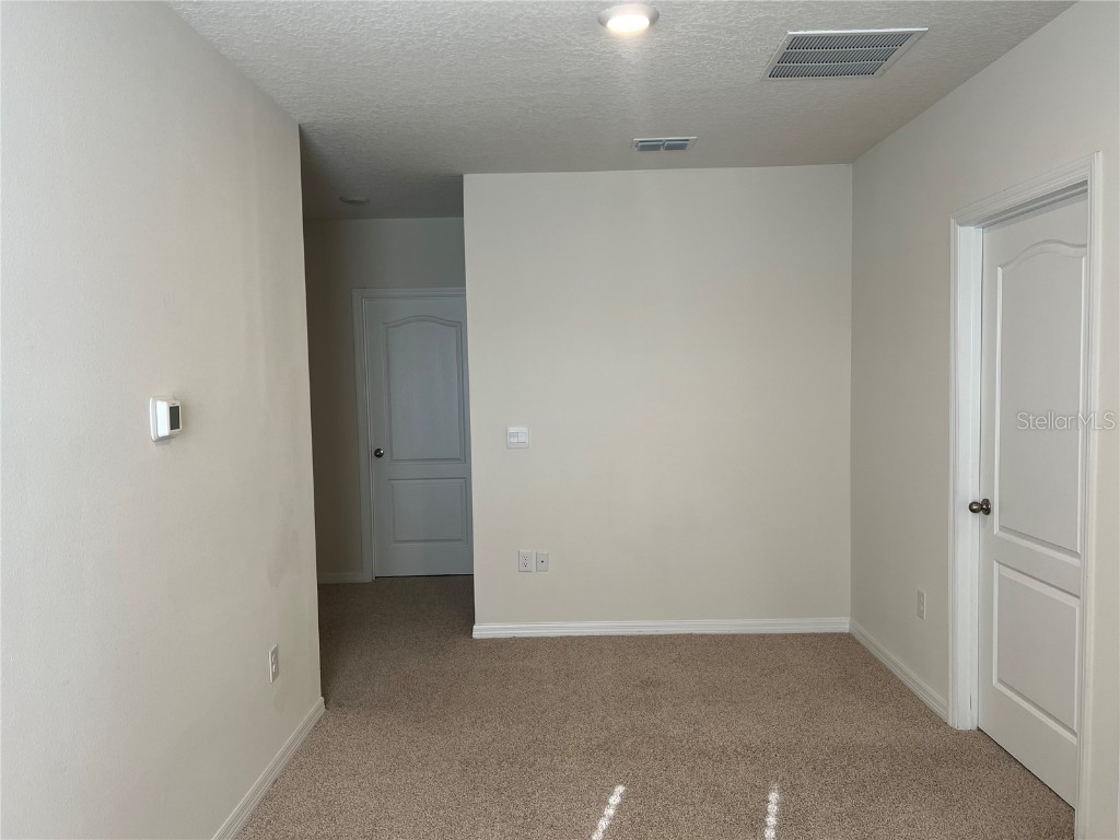 3009 Tansy Street Tavares FL 32778 O6293771 image18