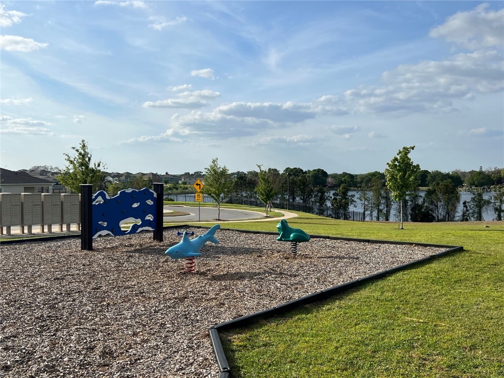 3009 Tansy Street Tavares FL 32778 O6293771 image34