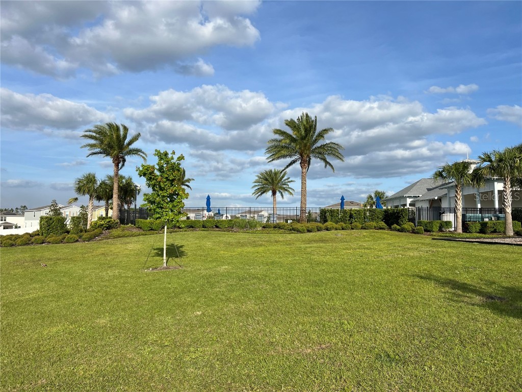 3009 Tansy Street Tavares FL 32778 O6293771 image36