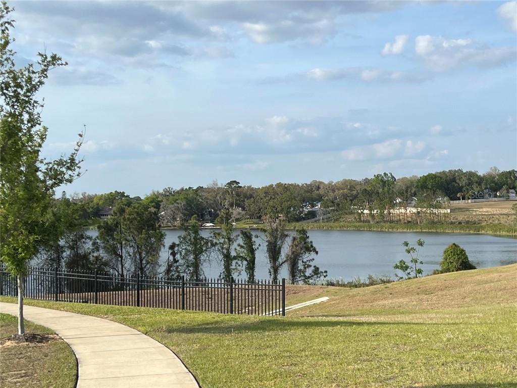 3009 Tansy Street Tavares FL 32778 O6293771 image37