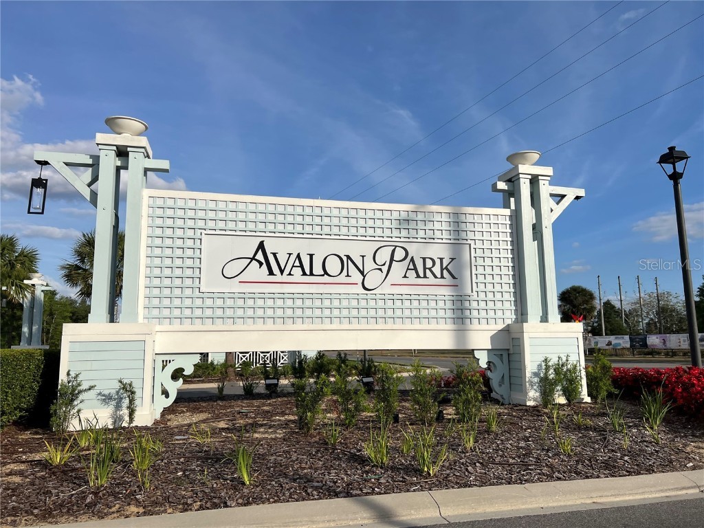 3009 Tansy Street Tavares FL 32778 O6293771 image4