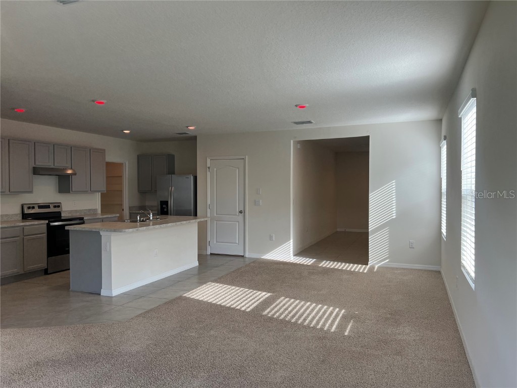 3009 Tansy Street Tavares FL 32778 O6293771 image8