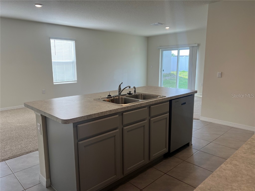 3009 Tansy Street Tavares FL 32778 O6302627 image11