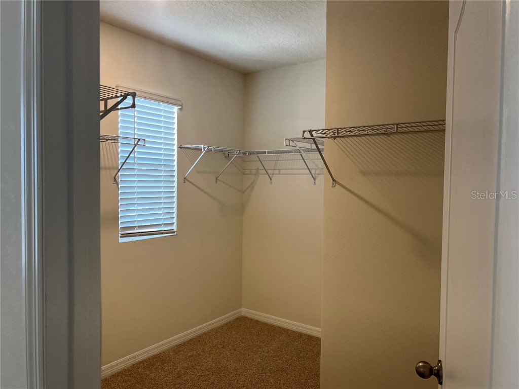 3009 Tansy Street Tavares FL 32778 O6302627 image15