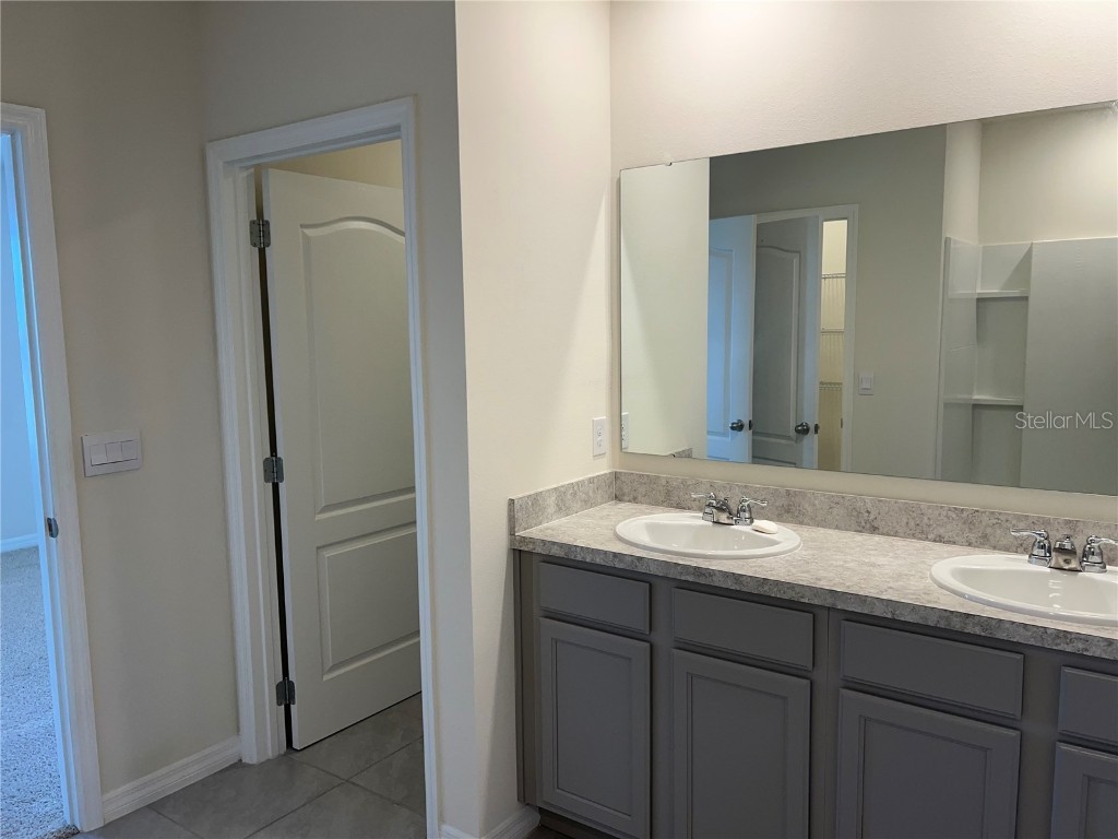 3009 Tansy Street Tavares FL 32778 O6302627 image17