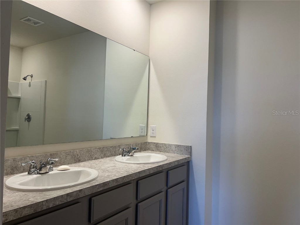 3009 Tansy Street Tavares FL 32778 O6302627 image18