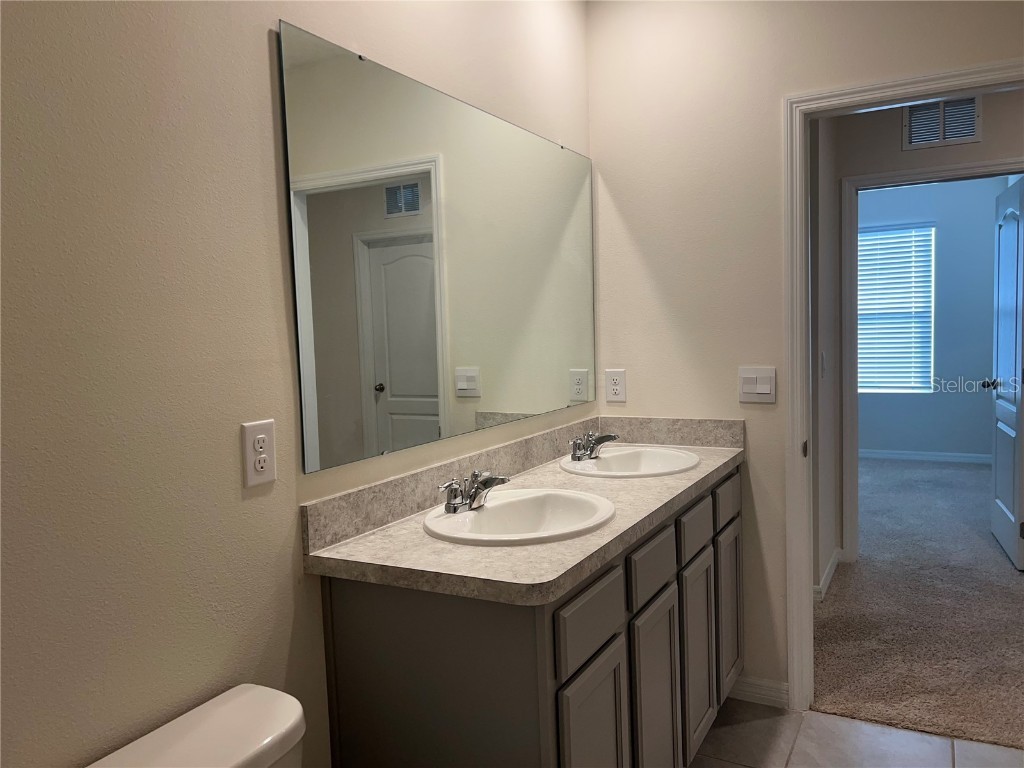 3009 Tansy Street Tavares FL 32778 O6302627 image23