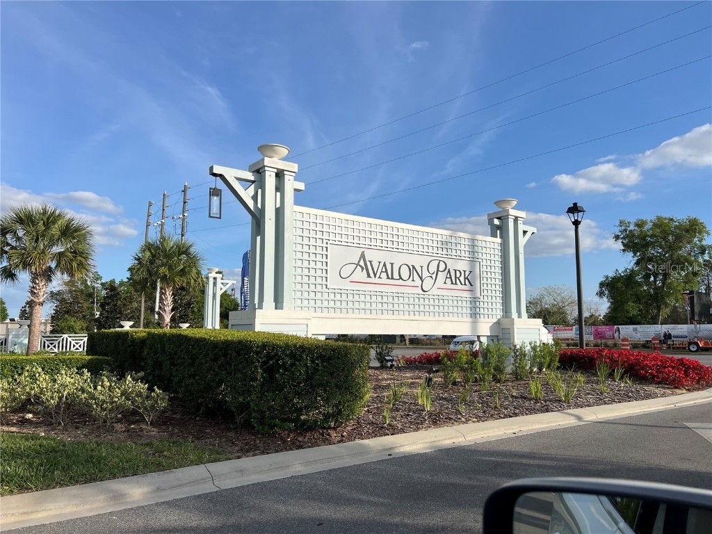 3009 Tansy Street Tavares FL 32778 O6302627 image28