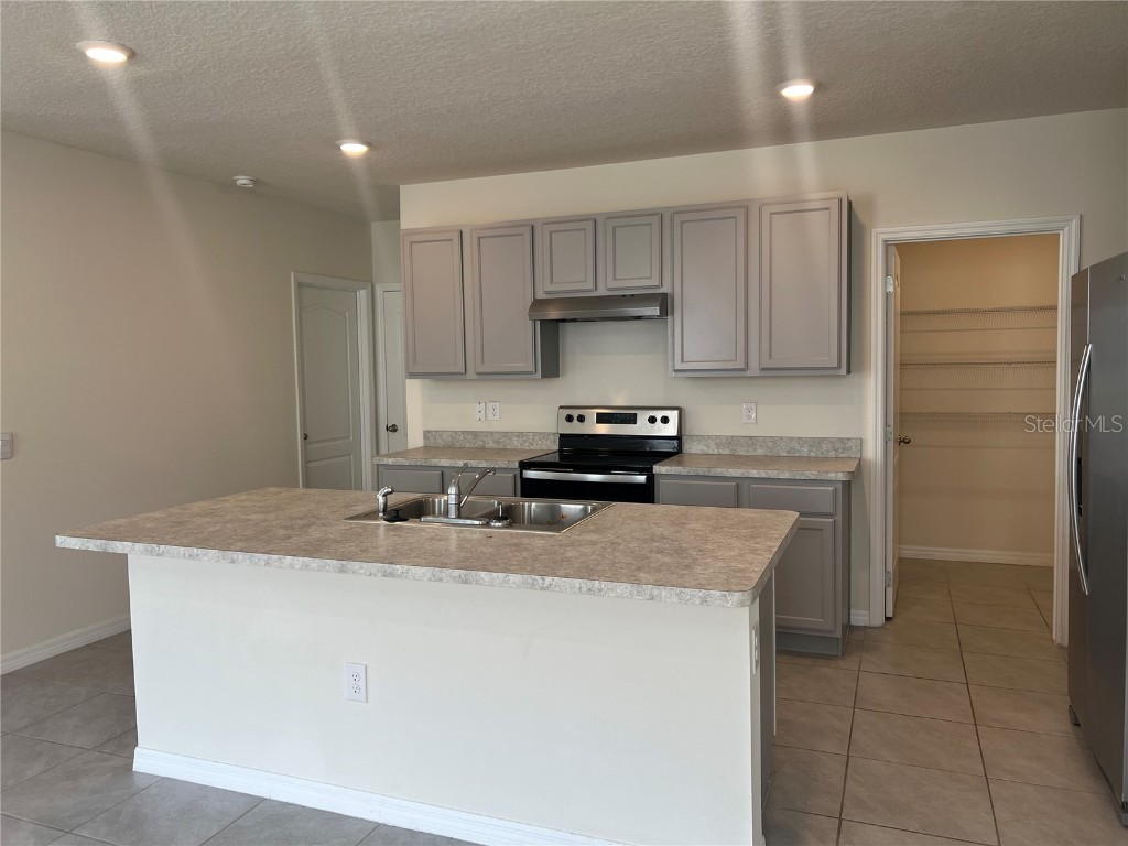 3009 Tansy Street Tavares FL 32778 O6302627 image4