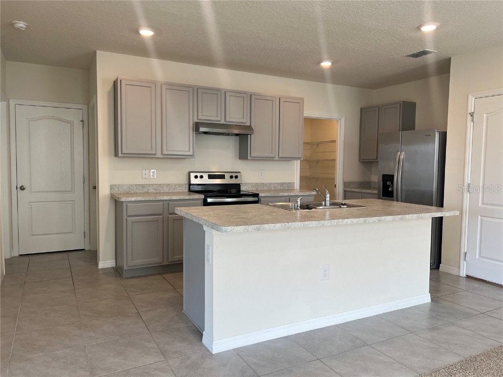 3009 Tansy Street Tavares FL 32778 O6302627 image5