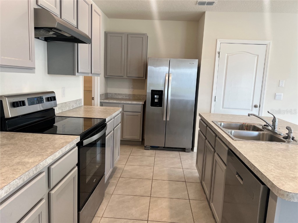 3009 Tansy Street Tavares FL 32778 O6302627 image6