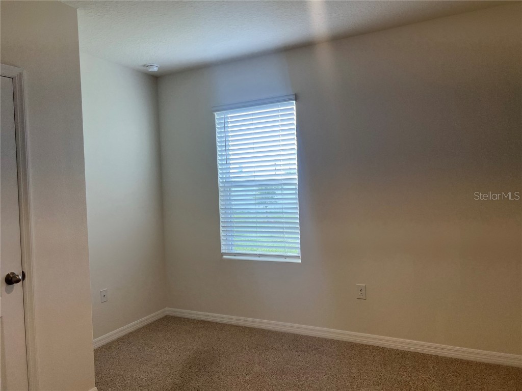 3009 Tansy Street Tavares FL 32778 O6302627 image7